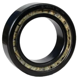 BMI Black oxidised bearing