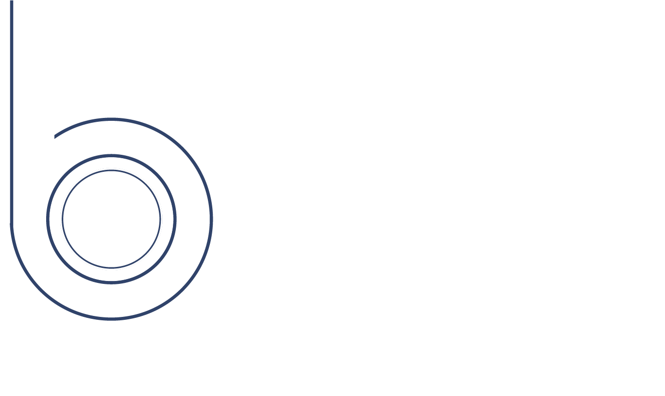 BMI Bearings