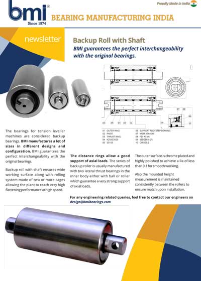 Backup Bearings with Cylindrical Rollers