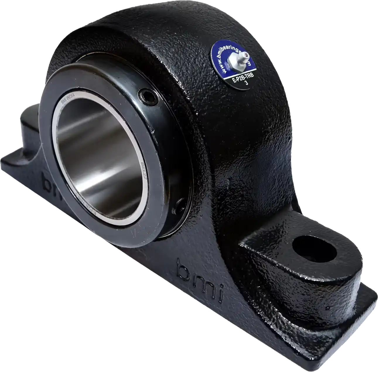 BMI Type-E 2 Bolt Pillow Block