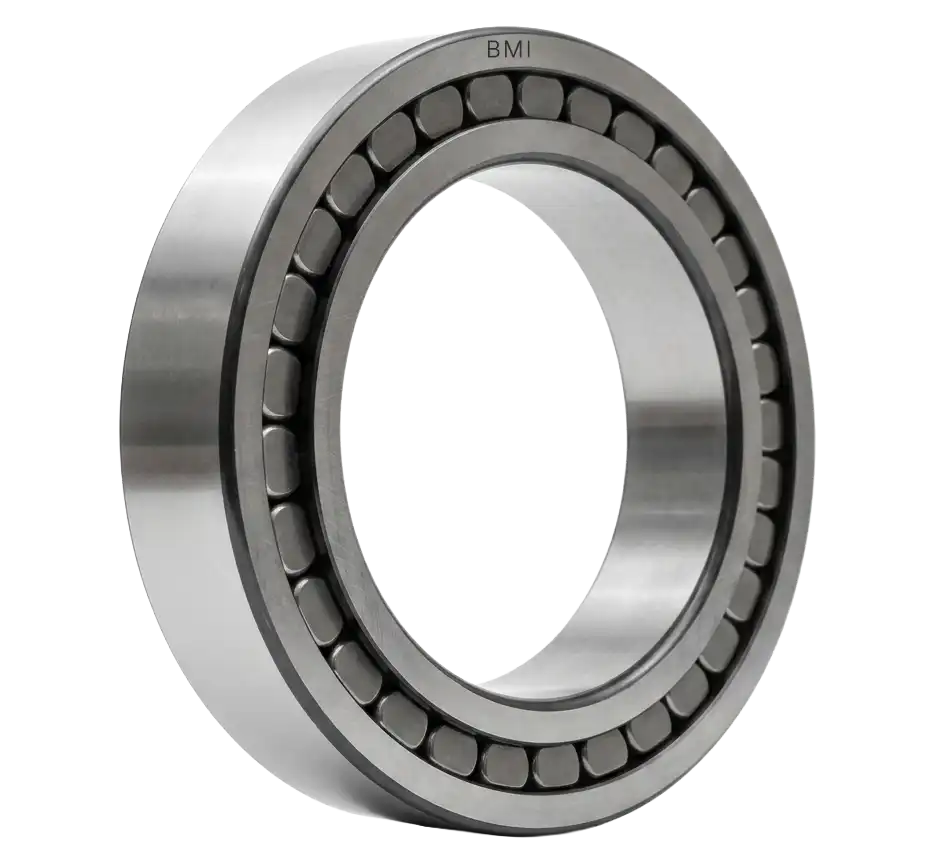 Single Row Full Complement Cylindrical Roller Bearings